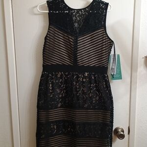 Scarlett Black Sheath Mini Dress Sleeveless Crew Neck